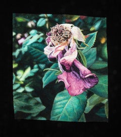 "Fading Rose", contemporain, encadré, textile, broderie, photoréalisme