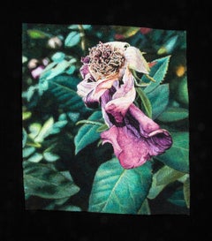 "Rosa desvanecida", Contemporáneo, Enmarcado, Textil, Bordado, Fotorrealismo