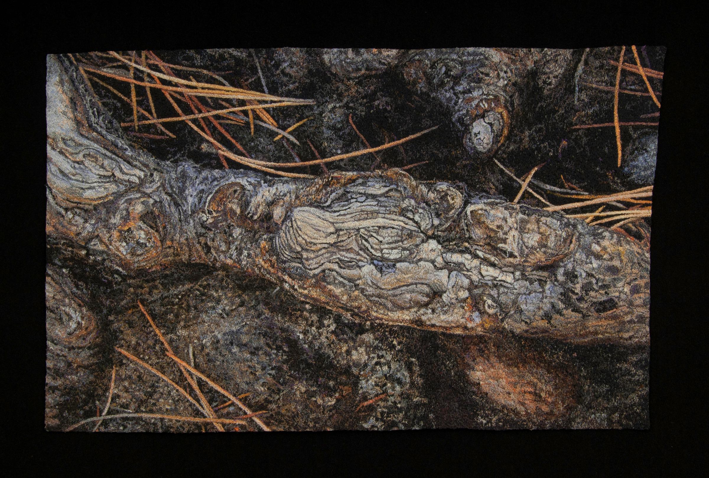 "Ponderosa Root", Contemporary, Photorealistic, Embroidery, Framed, Nature