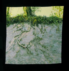Roots on Stone, Carol Shinn, 2018, broderie encadrée, photoréalisme, textile