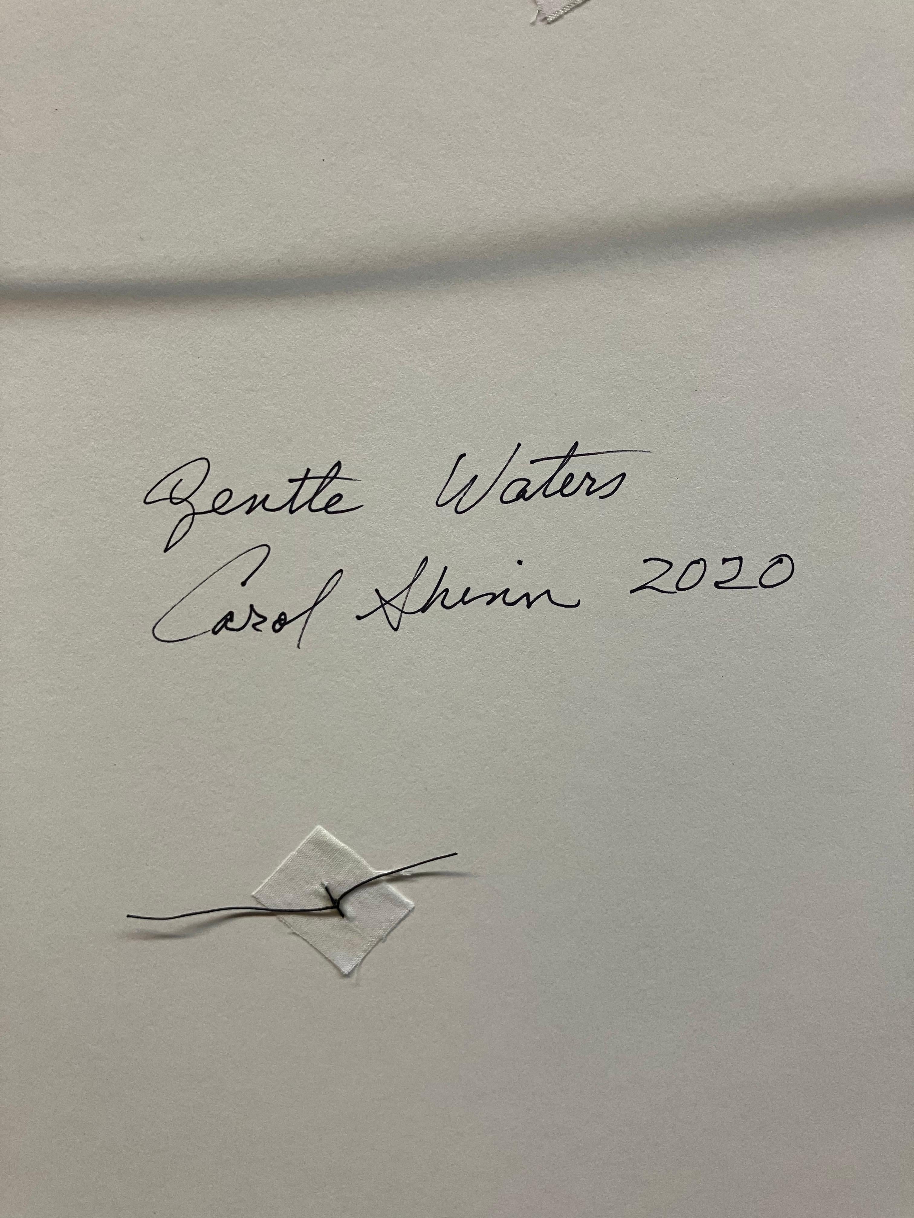 Carol Shinn est une artiste de studio qui vit à Fort Collins, dans le Colorado. Elle est connue internationalement pour ses photos cousues à la machine. Elle a donné de nombreux cours et ateliers à travers les États-Unis, et ses œuvres figurent dans