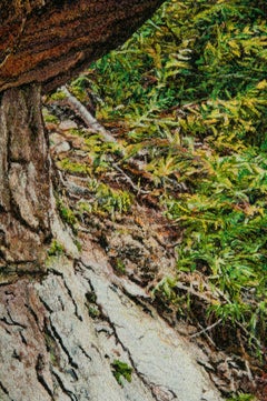 Overhang, Carol Shinn, 2014, Framed Embroidery, Photorealism, Nature, Textile