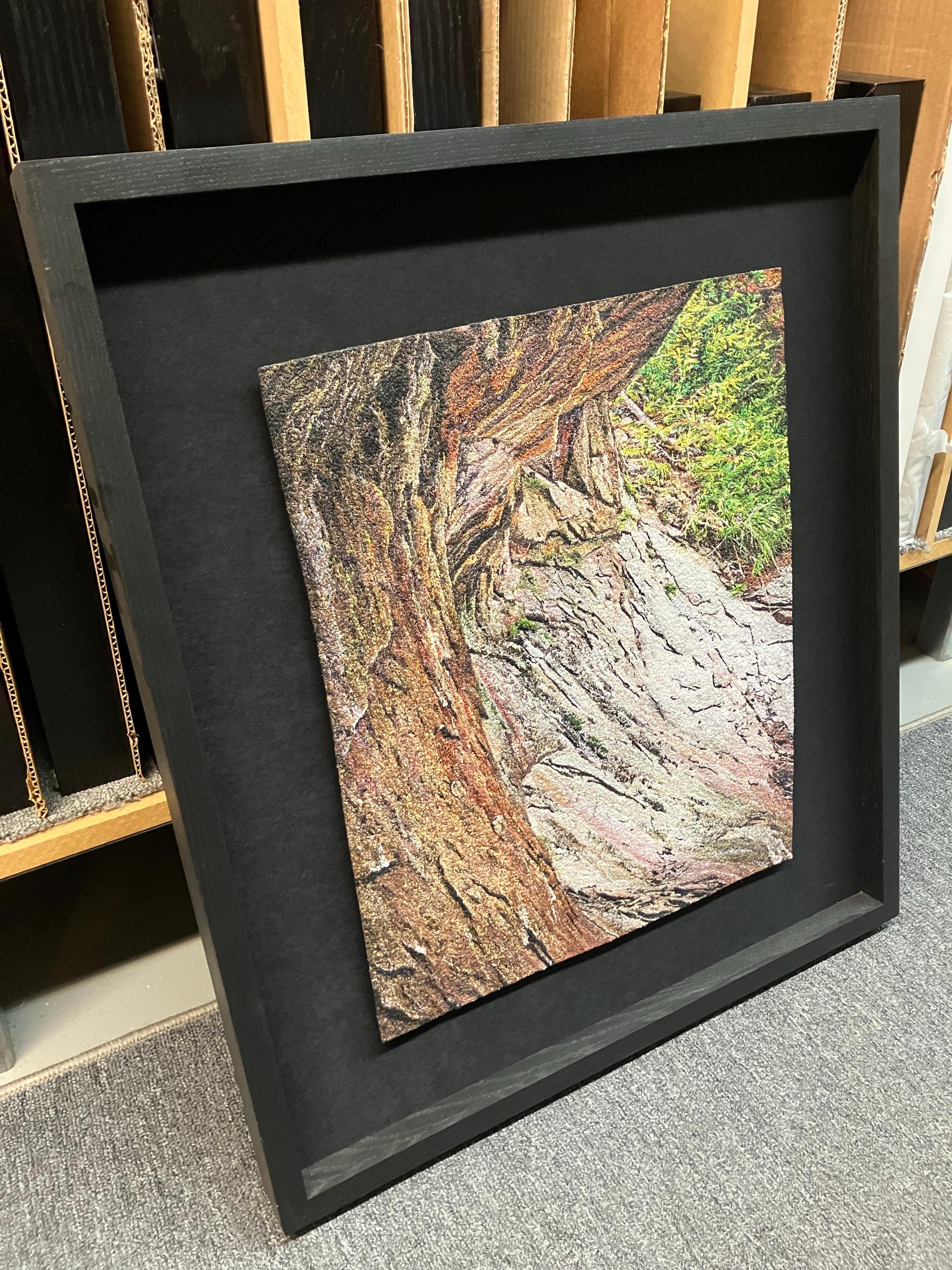 Overhang, Carol Shinn, 2014, Framed Embroidery, Photorealism, Nature, Textile For Sale 3