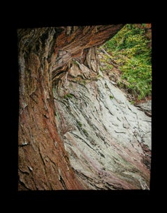 Surplomb, Carol Shinn, 2014, broderie encadrée, photoréalisme, nature, textile.