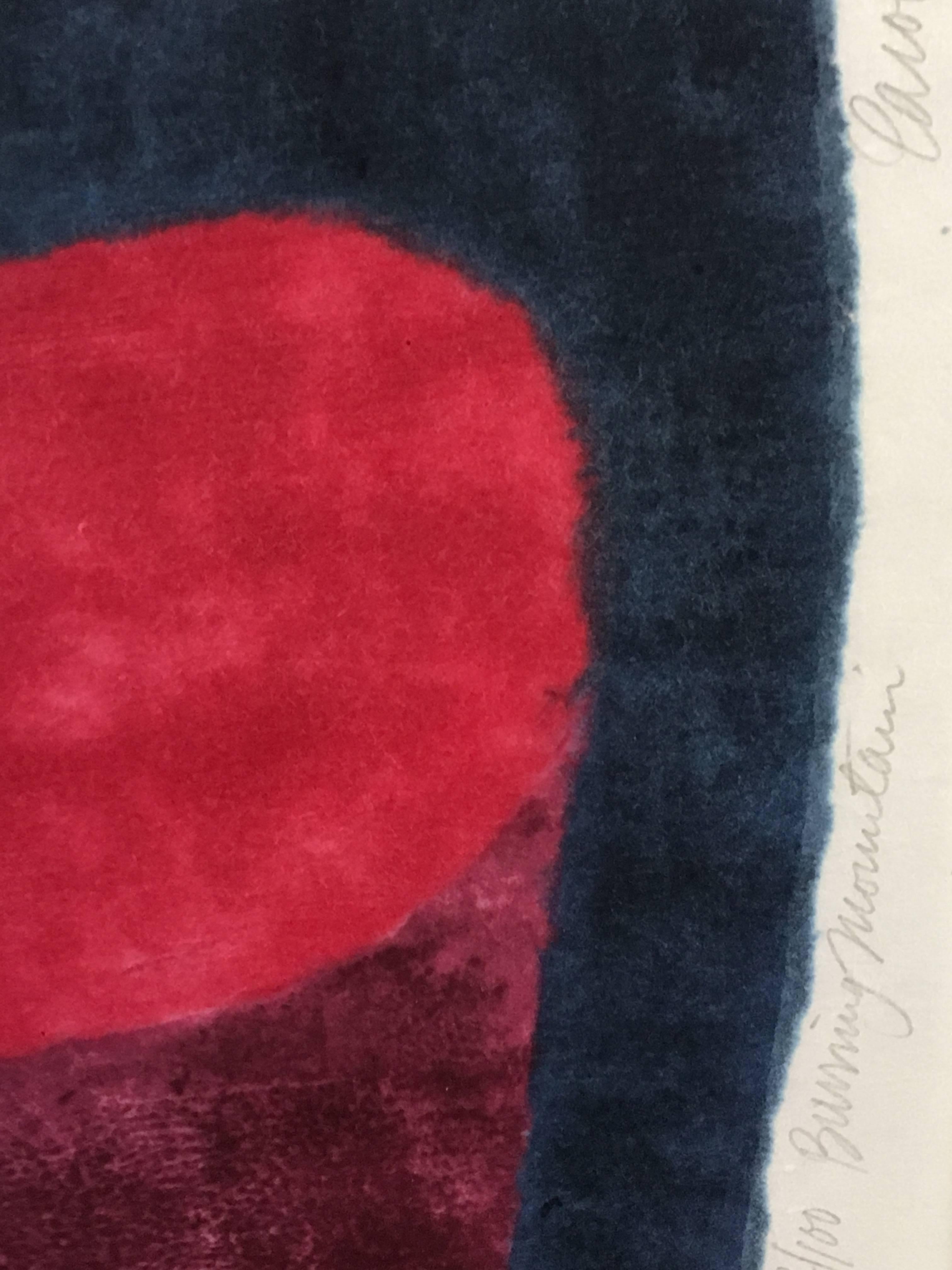 Gorgeous woodblock print on paper by America's foremost printmaker Carol Summers. Beautiful, saturated color, signed numbered (92/100) and dated, with deckled edges. Perfect condition. It is framed under plexiglass and the frame does have several