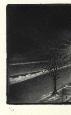 Foggy Night