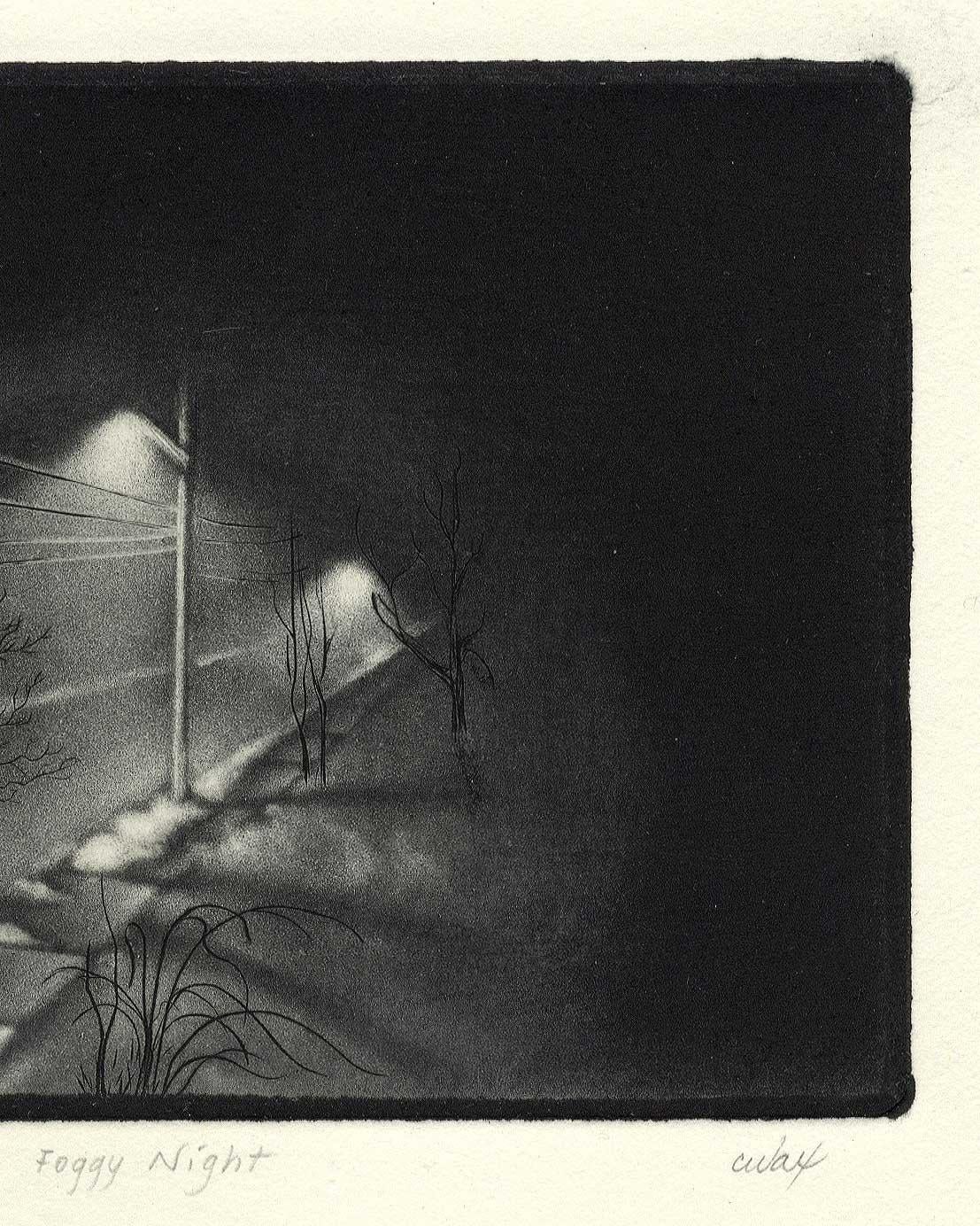Foggy Night (the way home or a Stephen King setting) - American Modern Print by Carol Wax
