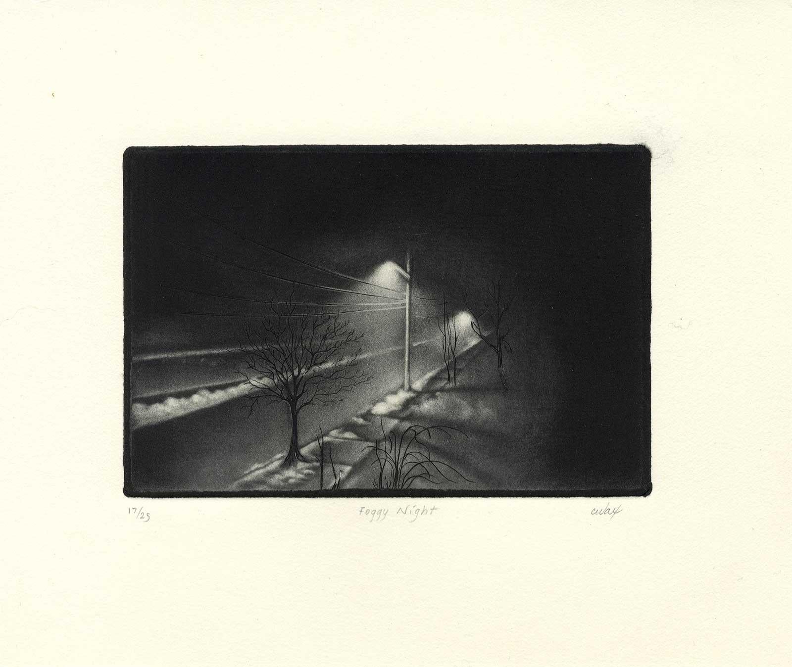 Foggy Night (the way home or a Stephen King setting) - Black Print by Carol Wax