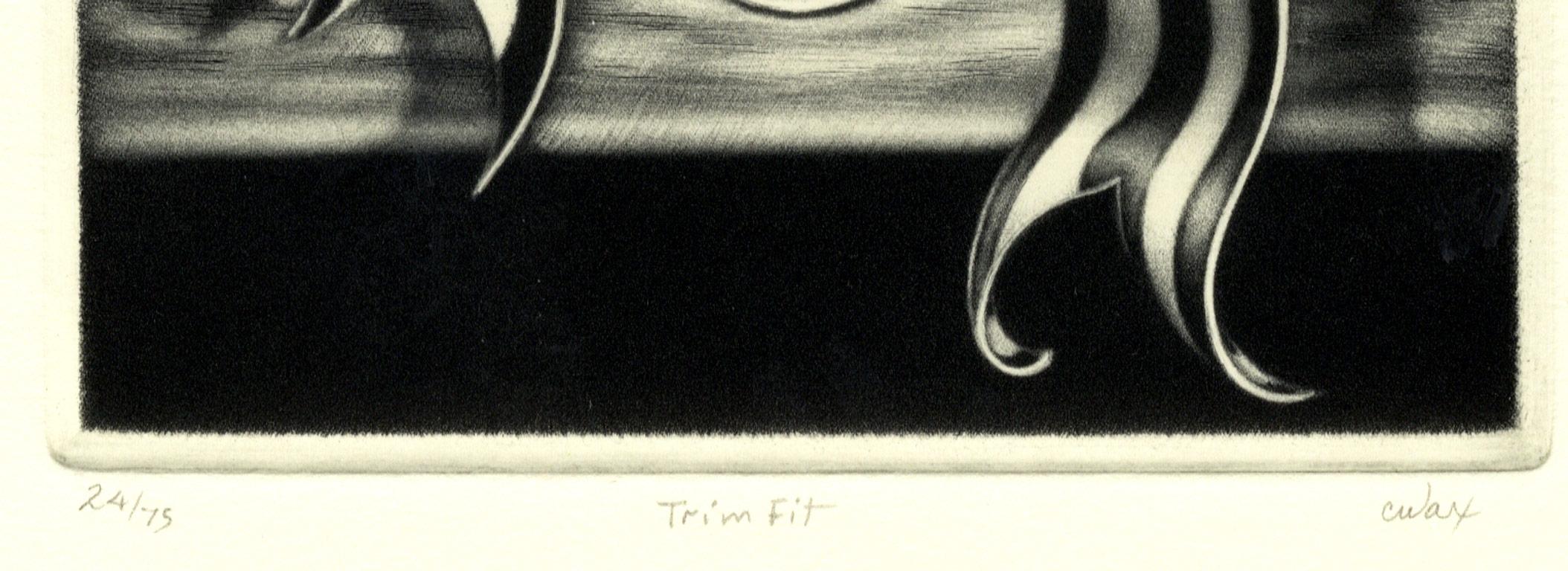Trim Fit (Deconstructed Singer machine gives both steel and silk equal weight) - American Modern Print by Carol Wax