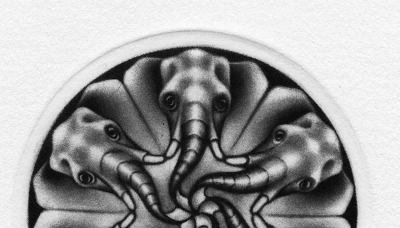 elephants trunk venice fl