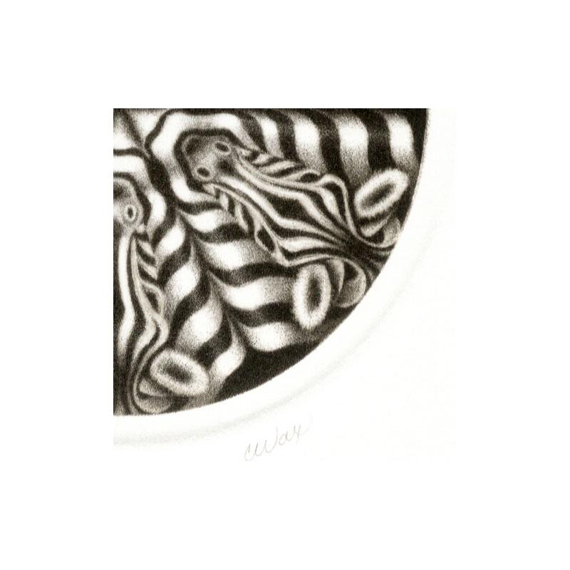 Zebragramm (ein stilisiertes, kreisförmiges Design, das durch wiederholte Bilder eines Zebras entsteht) (Amerikanische Moderne), Print, von Carol Wax