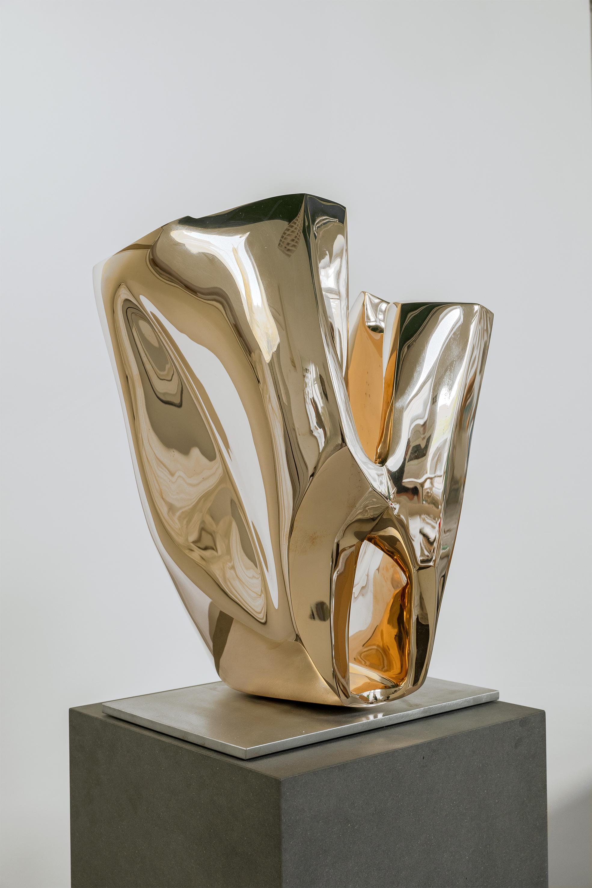 Bronze Sculpture 'PELA' by Carola Eggeling
Abstract sculpture with beautiful curved lines.

German bronze sculpture
Bronze Polished 
Certificate of authenticity
Numbered and signed artwork
Limited edition of 6
Measures: H. 55 x 33 x 44