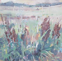 Meadow in Drought