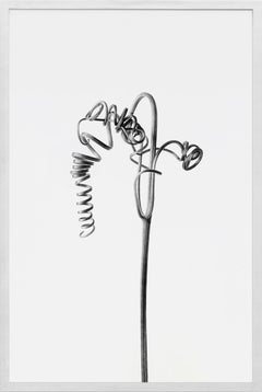 Horst P. Horst - Classics - Classical Still Life, 1937 For Sale at 1stDibs