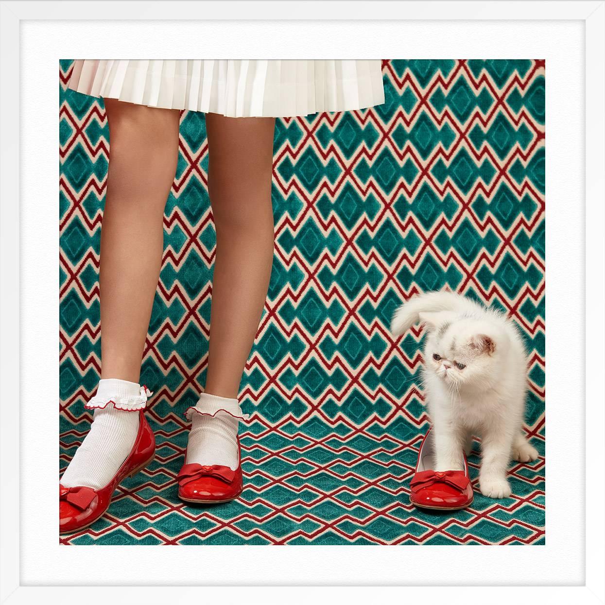 Cat 04 - Marron Color Photograph par Carolina Mizrahi