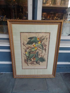 Carolina Parrot by John J . Audubon Chromolith J. Bien, NY Circa 1860 Plate 278