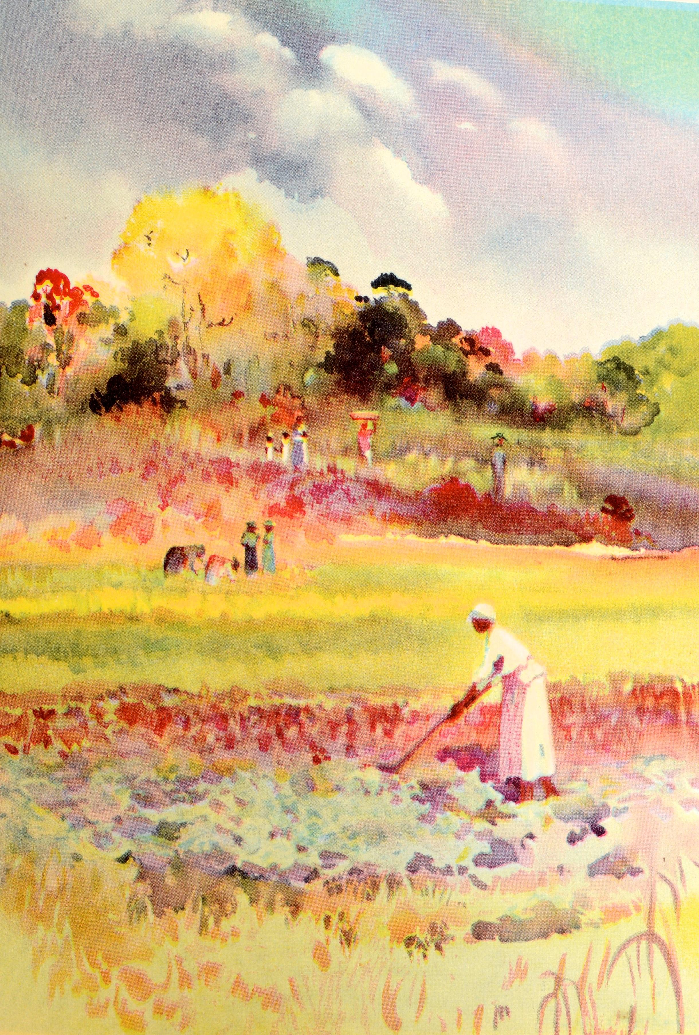 Carolina Rice Plantation of the 50er Jahre, signiert von der Illustratorin, Kopie des Verlegers im Angebot 7