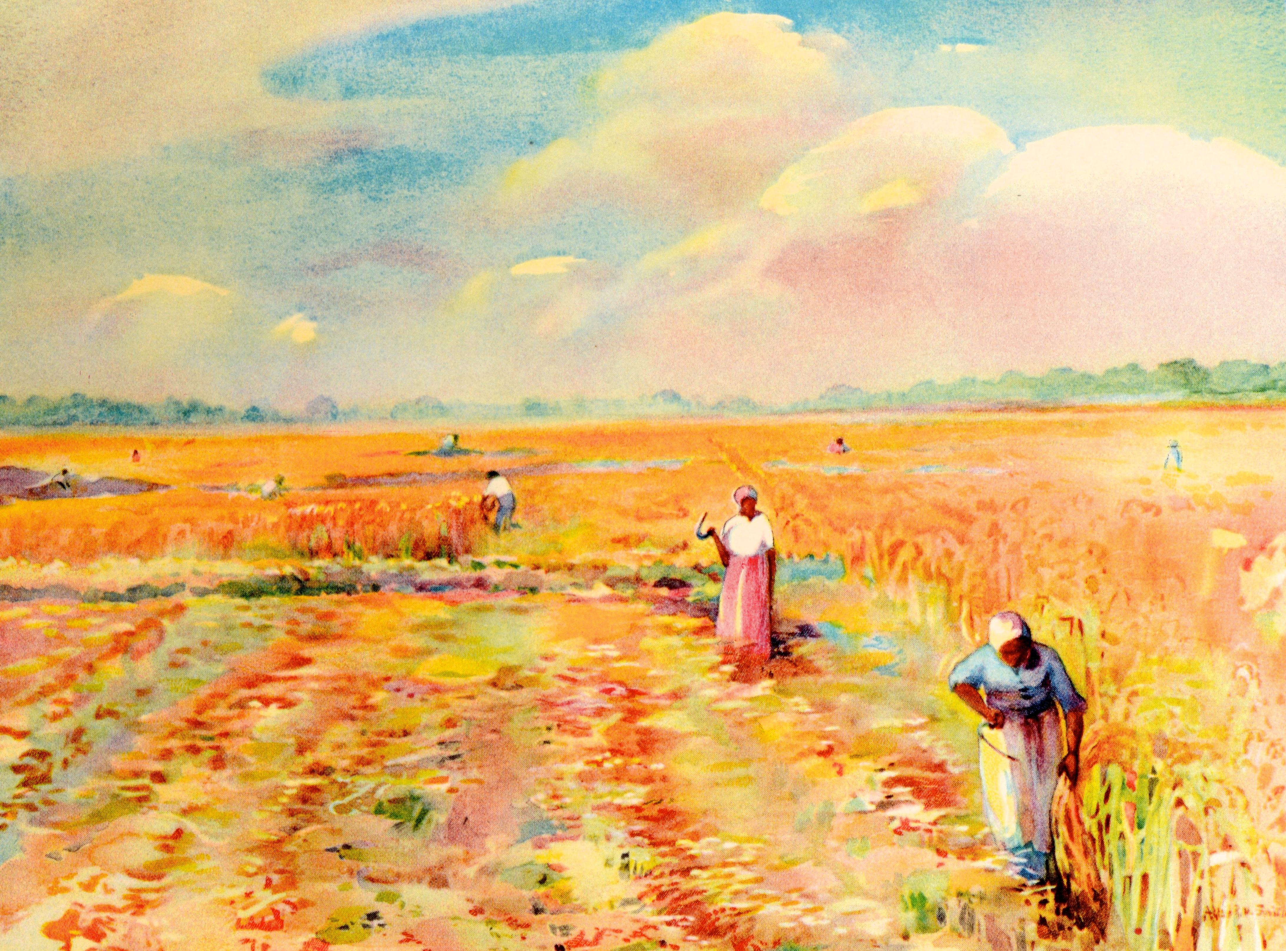 Paper Carolina Rice Plantation of the 50's Signed by the Illustrator, Publisher's Copy For Sale