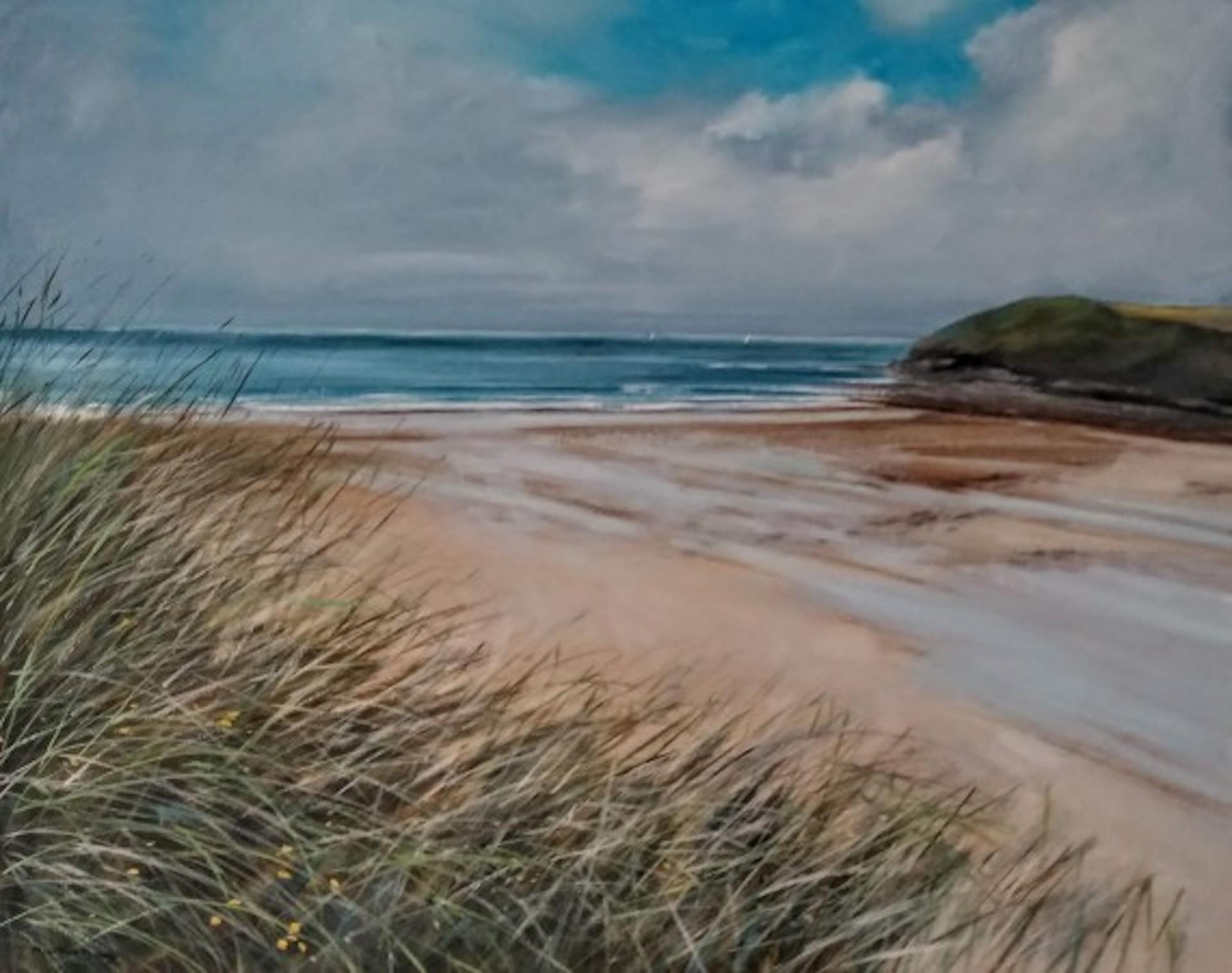 Caroline McMillan Davey, Through The Dune Grass, Original Landscape Painting