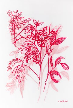 The wild grass Caroline Veith Contemporary drawing flora red art