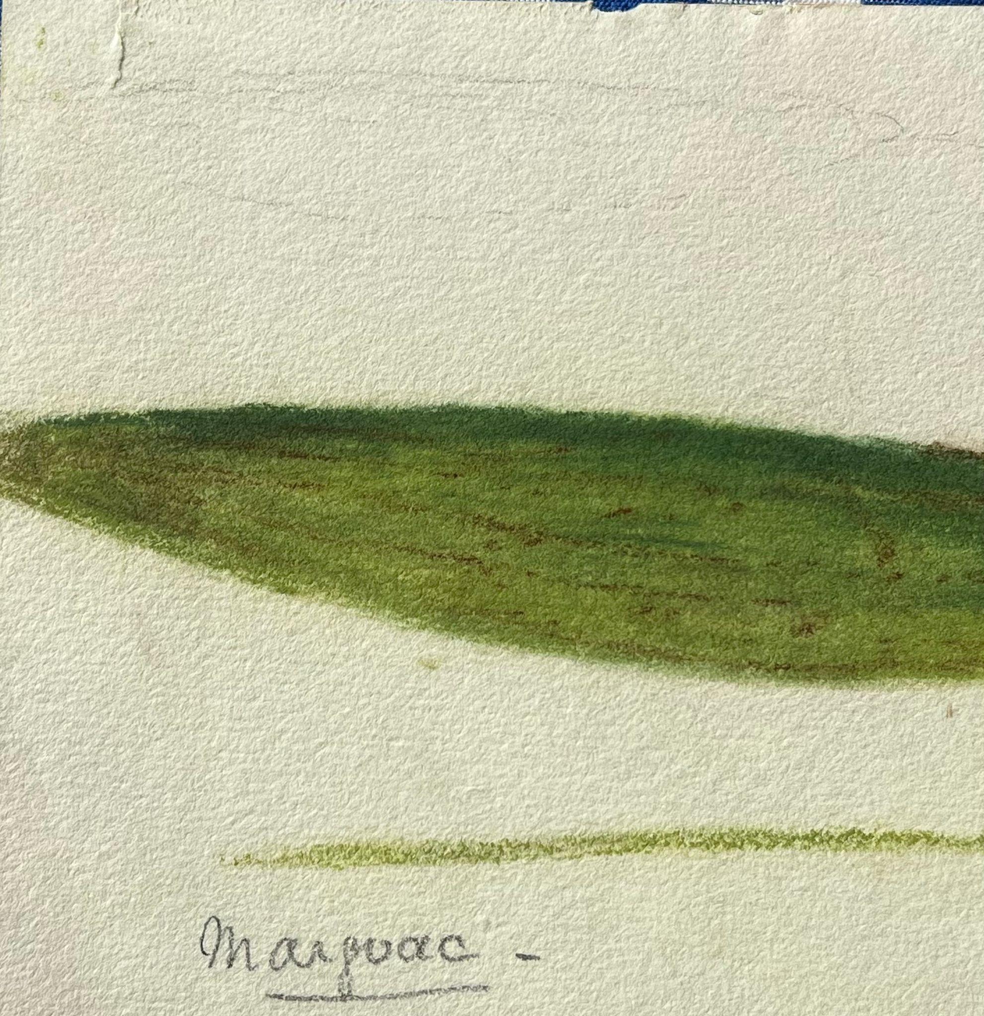 Antikes britisches botanisches Gemälde einer langen grünen Pflanze, antik – Art von Caroline Worsley