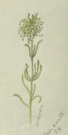 Fine Antique British Botanical Painting Green Tall Plant