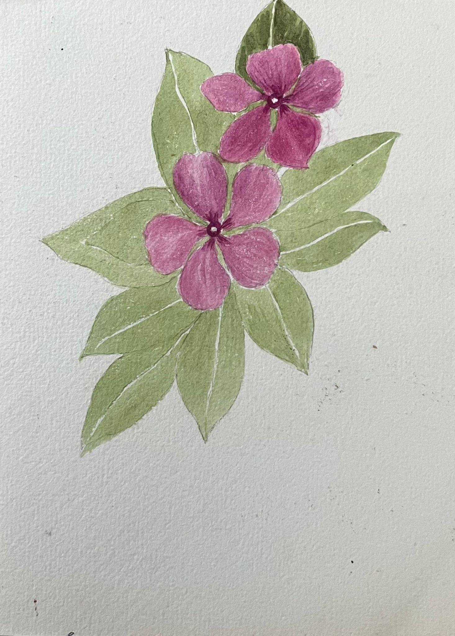 Fine Antique British Botanical Painting Pink Periwinkle Flower and Leaf 2