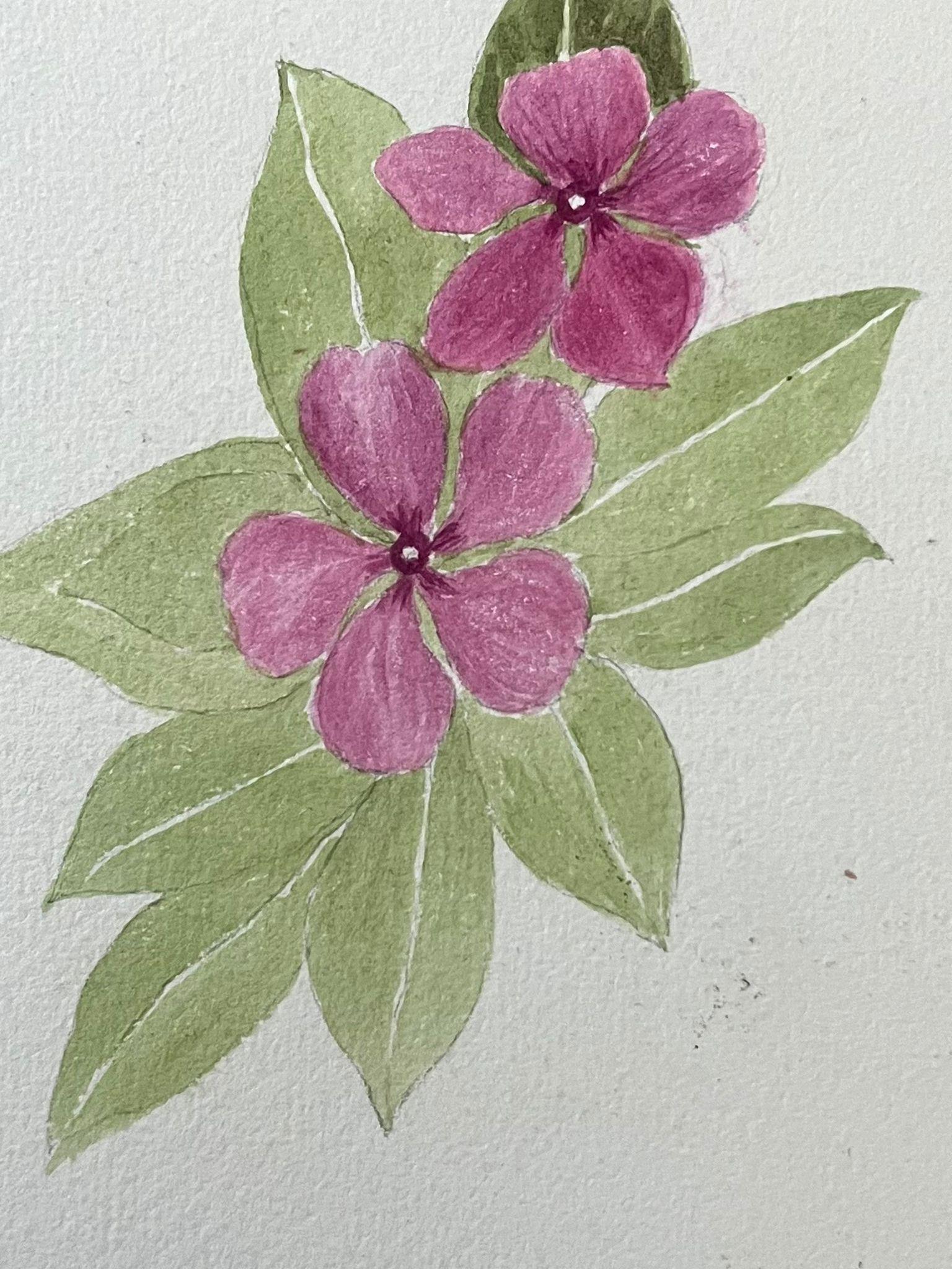 Caroline Worsley Still-Life Painting - Fine Antique British Botanical Painting Pink Periwinkle Flower and Leaf