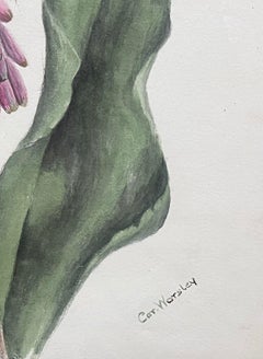 Pregevole dipinto botanico Antique British Fiore di Veltheimia Capensis rosa