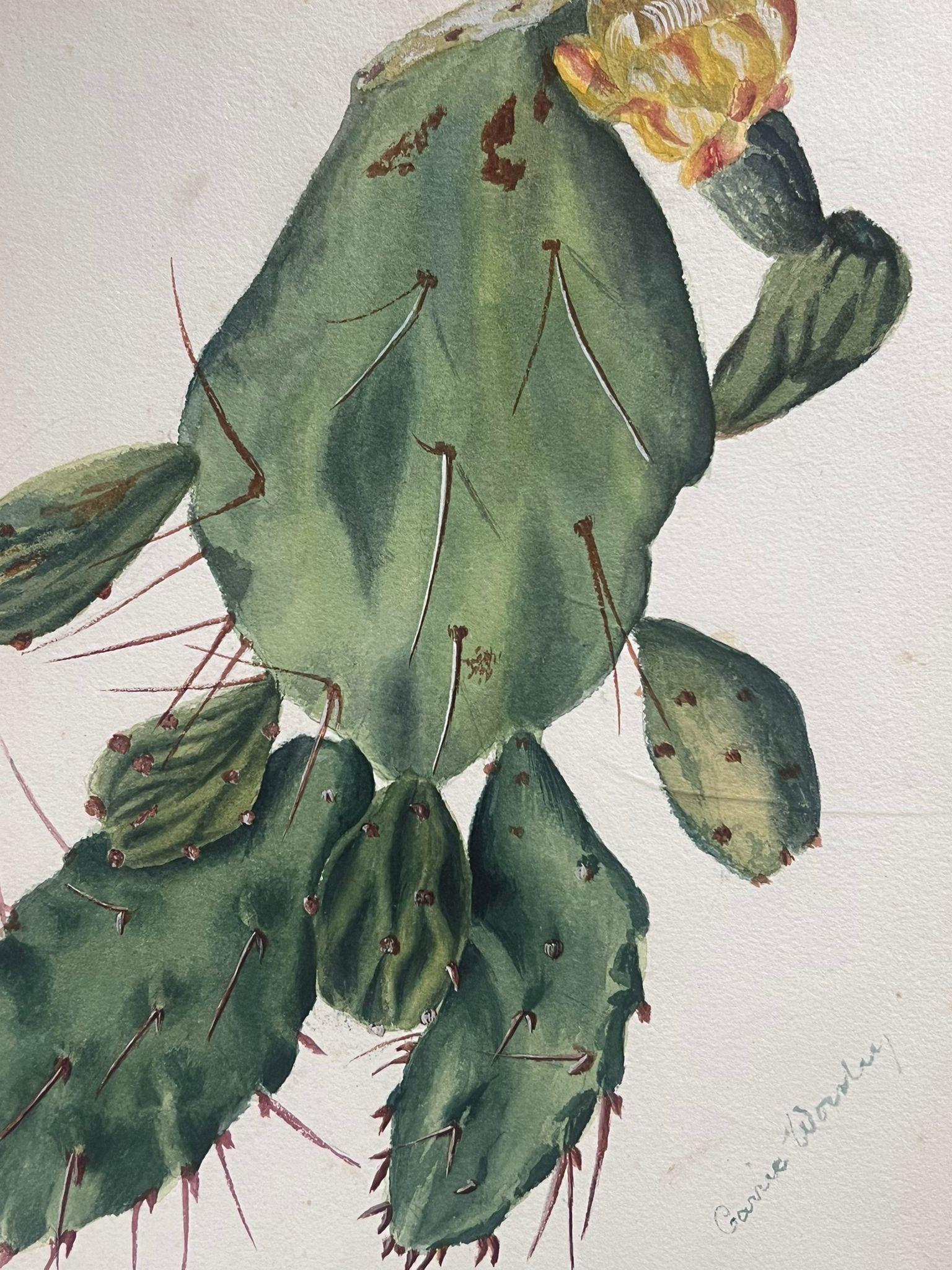 Antikes britisches botanisches Gemälde, Prickly Pear Cactus, Prickly – Art von Caroline Worsley
