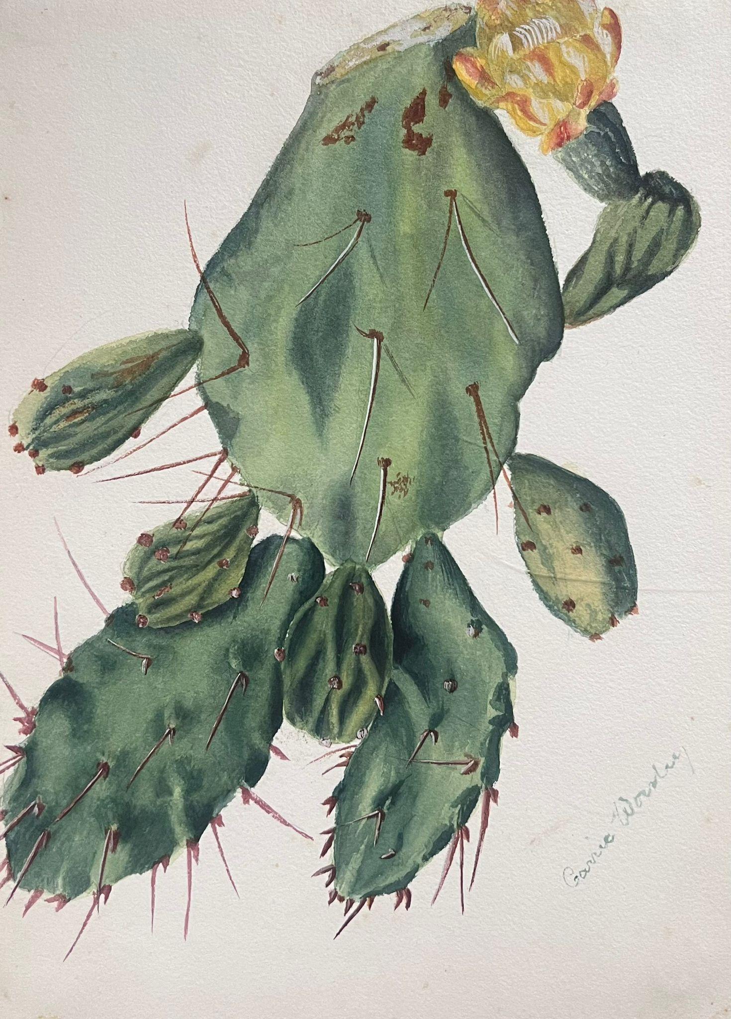 Belle peinture botanique britannique ancienne Cactus poire - Victorien Art par Caroline Worsley