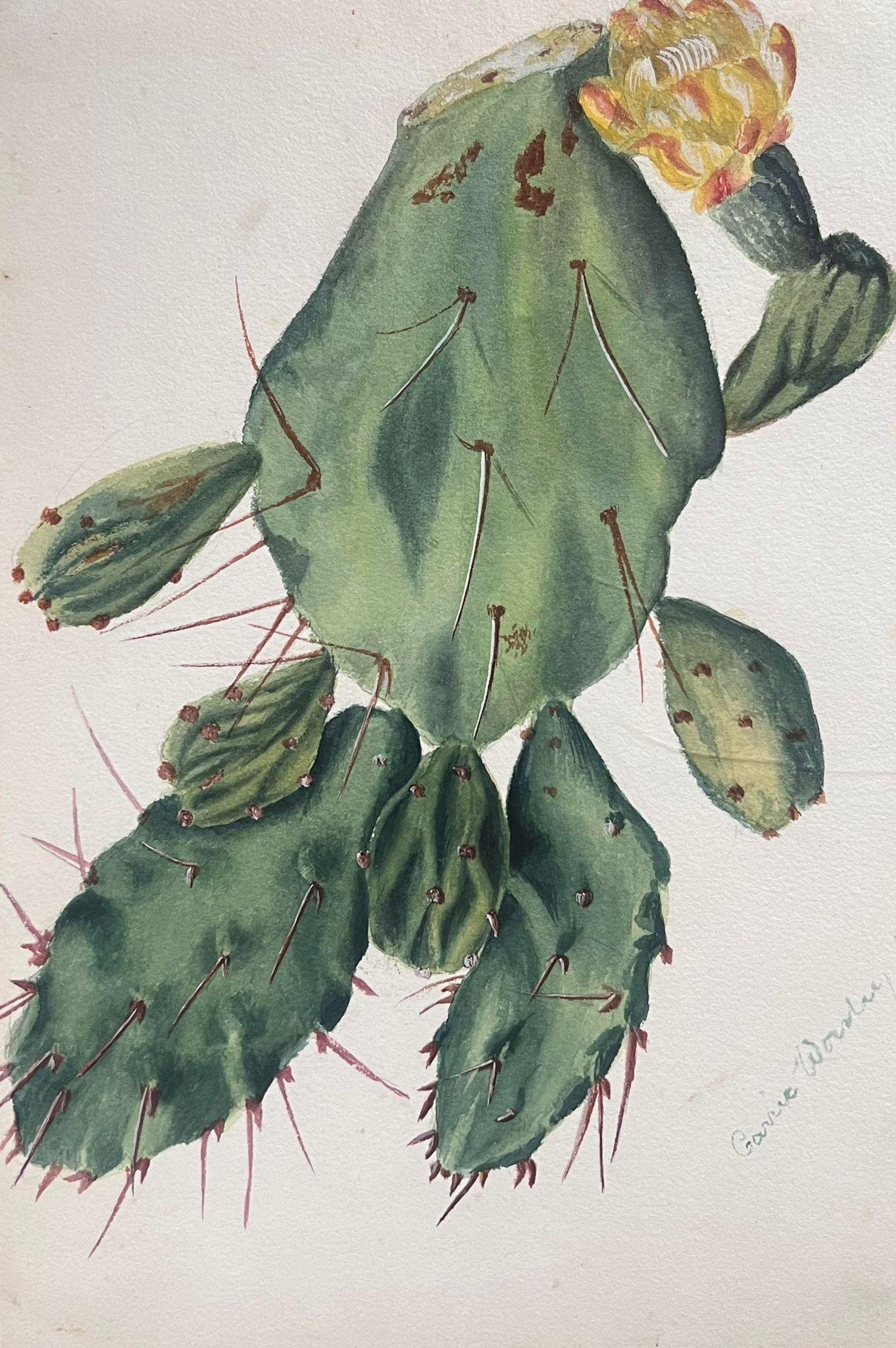Caroline Worsley Still-Life – Antikes britisches botanisches Gemälde, Prickly Pear Cactus, Prickly