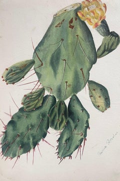 Belle peinture botanique britannique ancienne Cactus poire