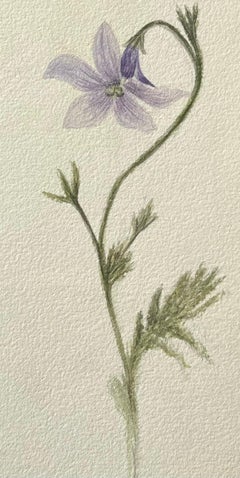 Fine Antique British Botanical Painting Purple Harebell Plant (peinture botanique britannique)