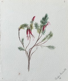 Feine antike britische botanische Malerei Red Stem Flower