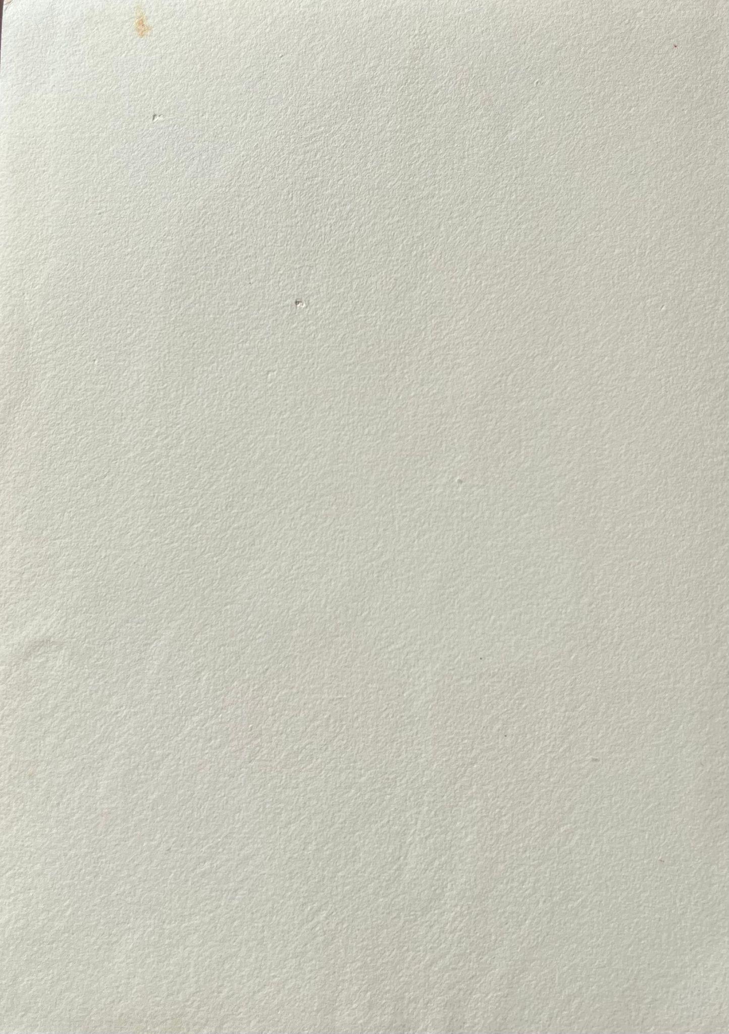 Pinturas originales inglesas antiguas de acuarela botánica muy finas que representan esta bella representación de una flor/planta. La obra nos llegó de una colección privada de Surrey, Inglaterra, y había formado parte de un álbum de obras reunidas
