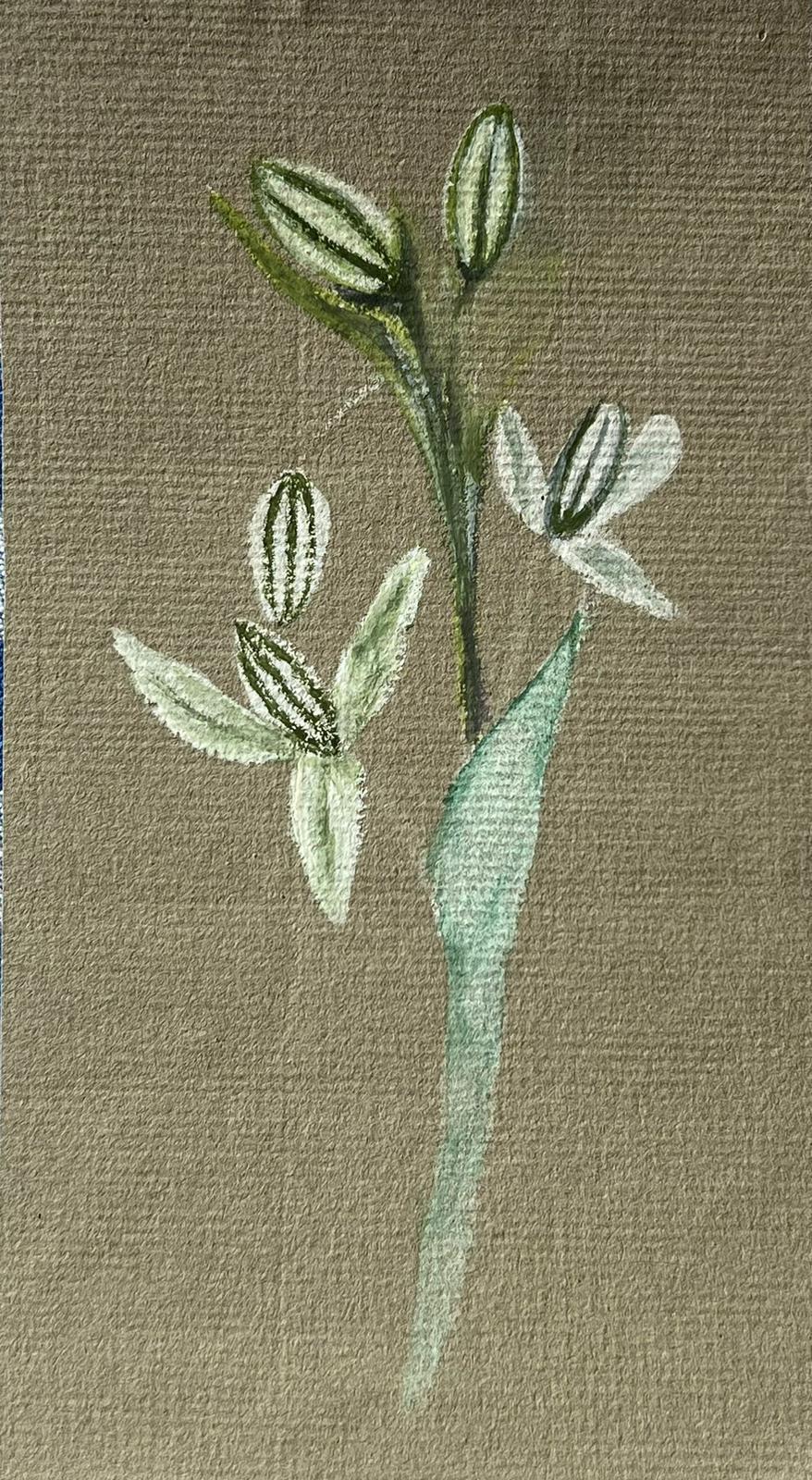 Belle peinture botanique britannique ancienne de fleurs blanches - Painting de Caroline Worsley