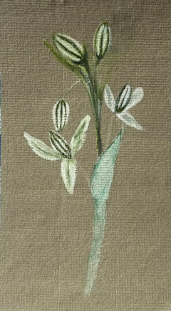 Fine Antique British Botanical Painting White Flower Plant