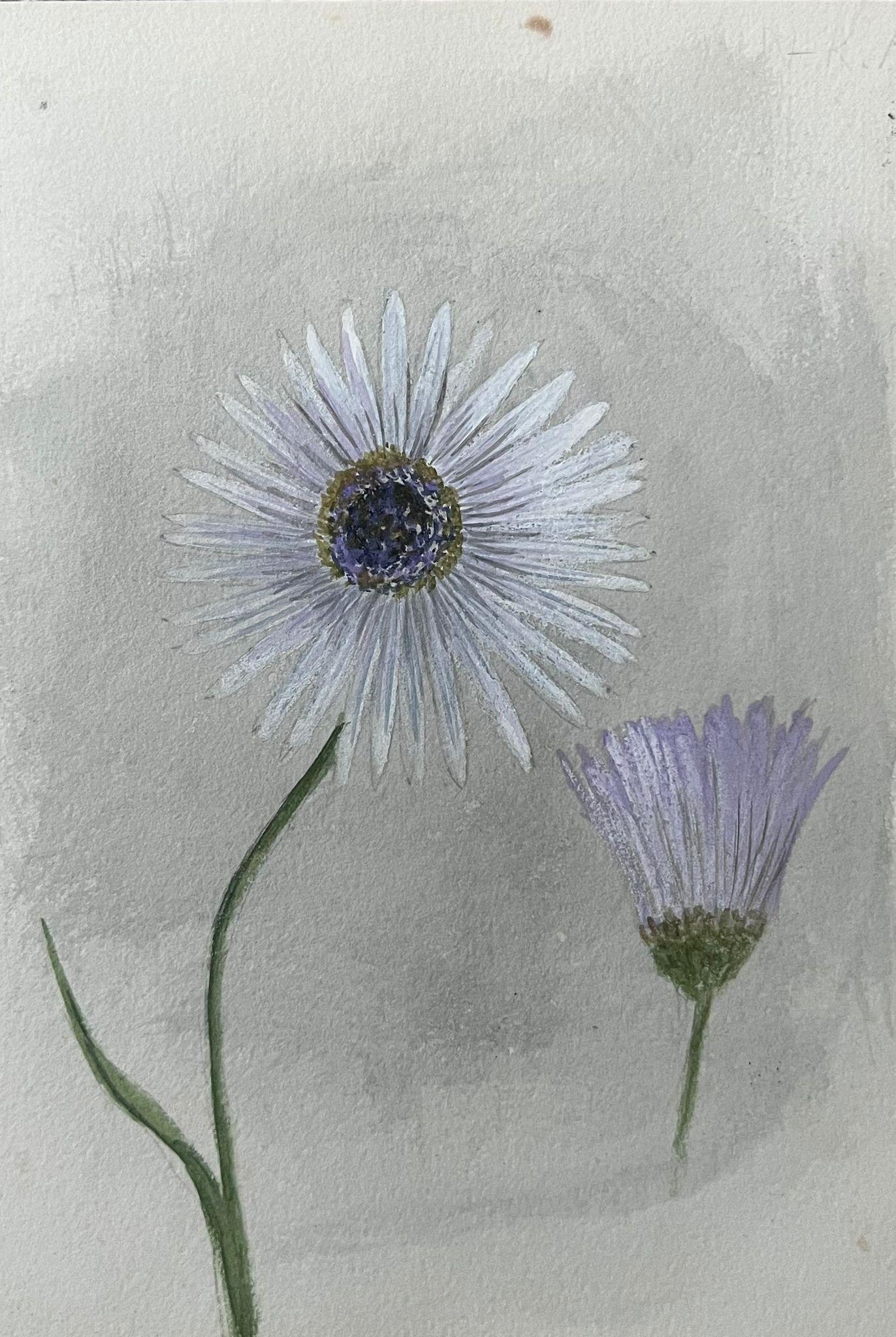 Belle peinture botanique britannique ancienne, fleur à tige blanche et plante mauve - Victorien Painting par Caroline Worsley