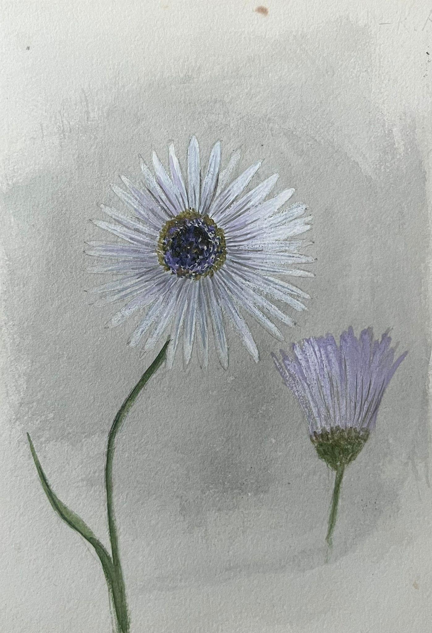 Belle peinture botanique britannique ancienne, fleur à tige blanche et plante mauve