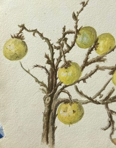 Fine Antique British Botanical Painting Wild Gooseberries On Vine Plant
