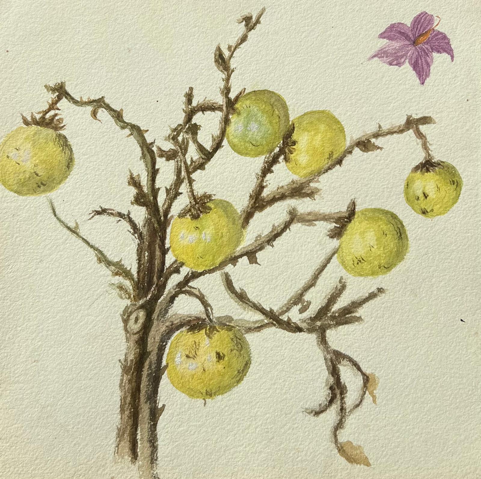 Still-Life Painting Caroline Worsley - Belle peinture botanique britannique ancienne représentant des framboises sauvages sur une vigne