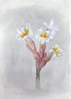 Fine Antique British Botanical Watercolour Painting Narcissus Flower