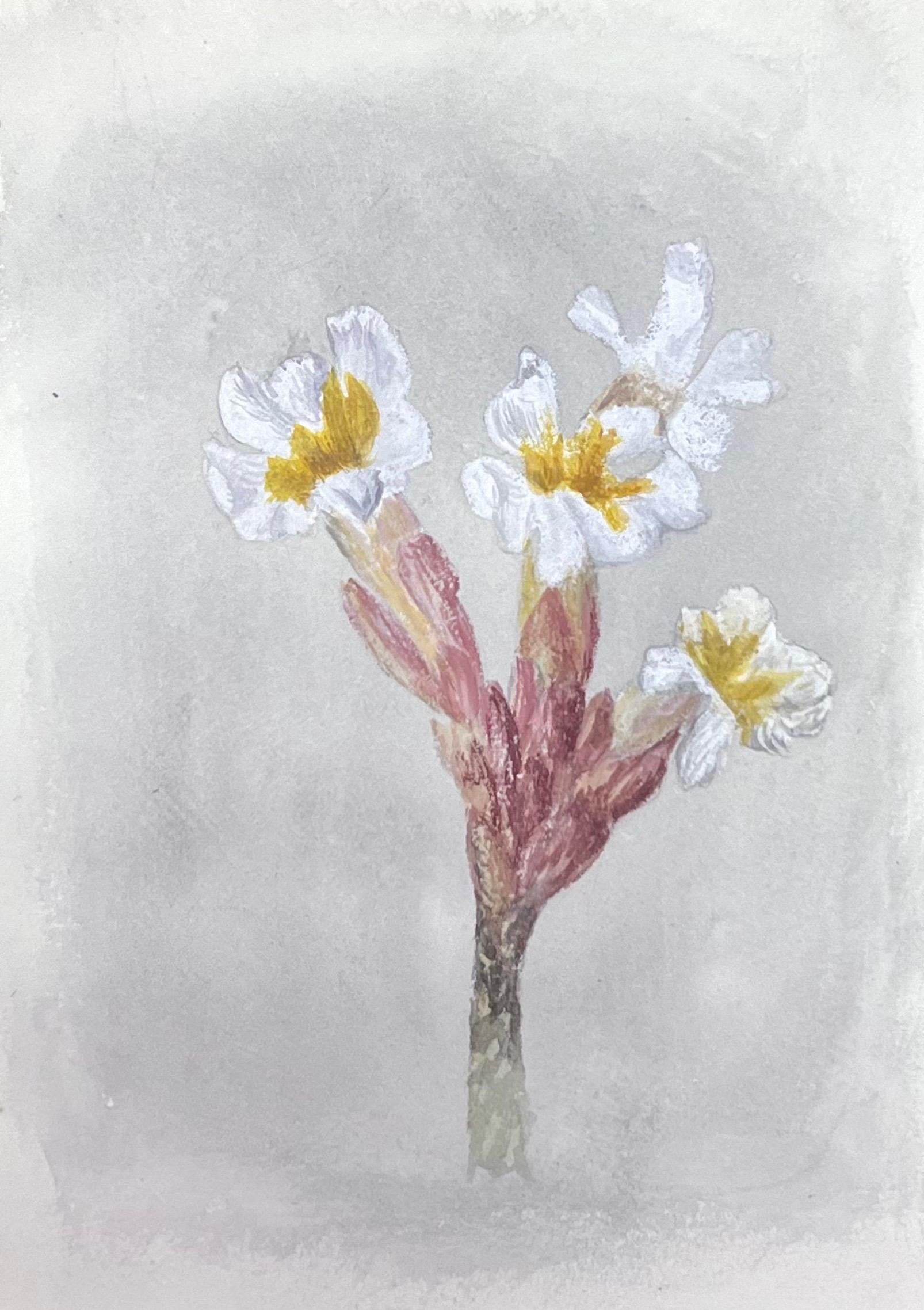 Raffinato acquerello botanico Antique British con fiore di narciso