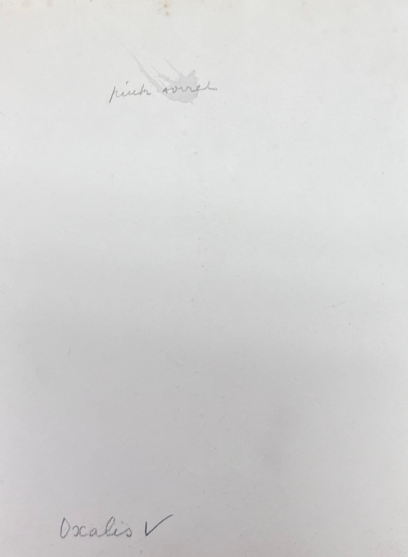 A very fine original antique English botanical watercolour painting depicting this beautiful depiction of a flower/ plant. The work came to us from a private collection in Surrey, England and had been part of an album of works assembled by the