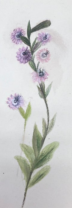 Antikes britisches botanisches Aquarellgemälde, lila, Pflanzgefäßgemälde