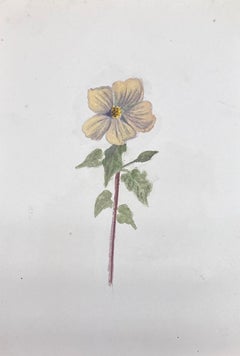 Fine peinture botanique britannique ancienne à l'aquarelle, peinture de Primrose jaune