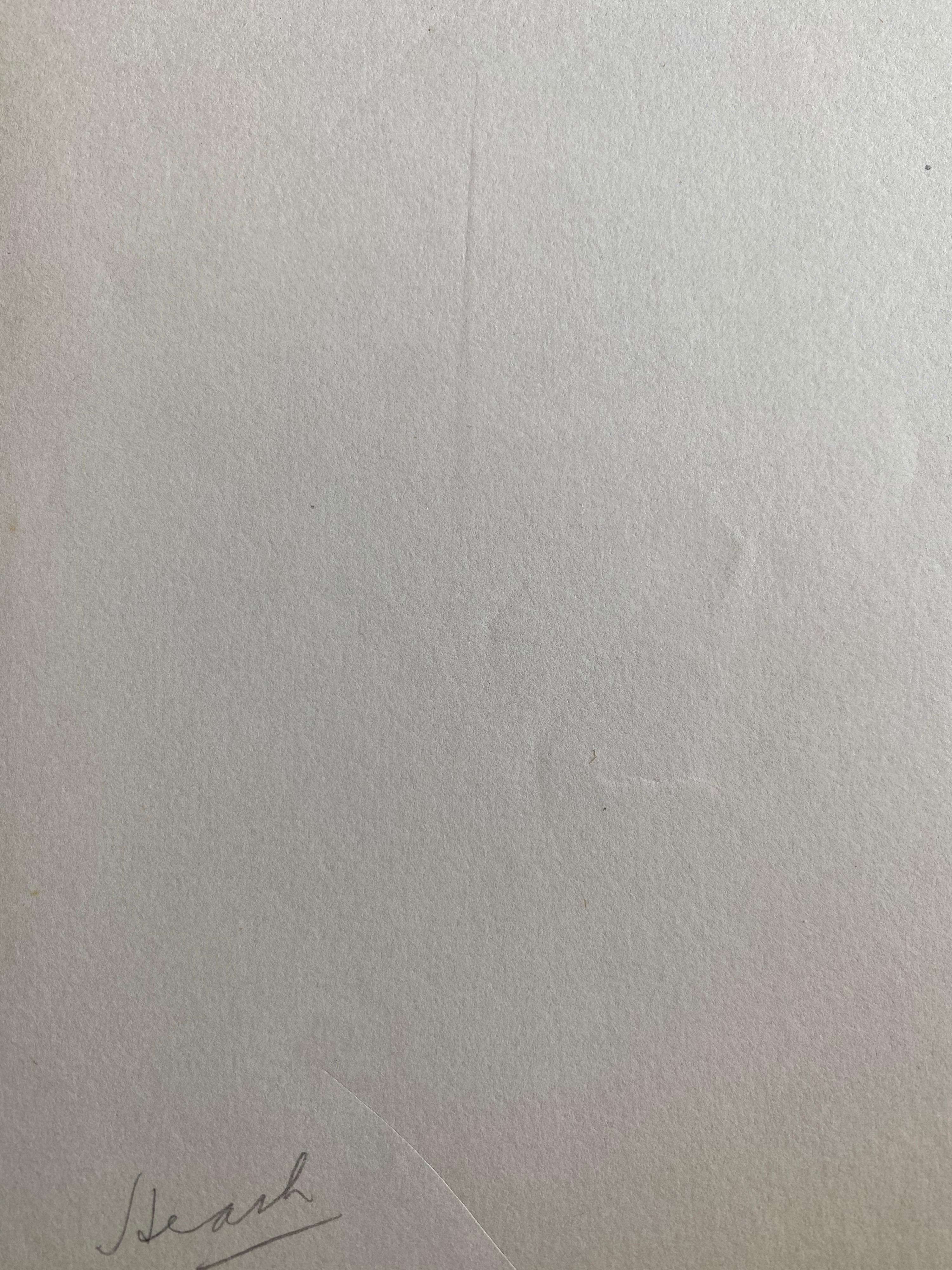 Una acuarela botánica inglesa antigua muy fina y original que representa esta bella representación de una flor/planta. La obra nos llegó de una colección privada de Surrey, Inglaterra, y había formado parte de un álbum de obras reunidas por el