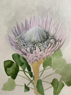 Fine Antique British Botannical Watercolour Painting, circa 1900's Beautiful