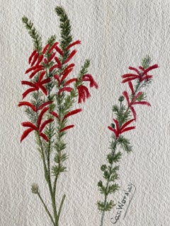 Fine Antique British Botannical Watercolour Painting, circa 1900's
